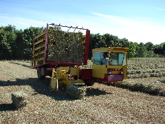 Airbaler